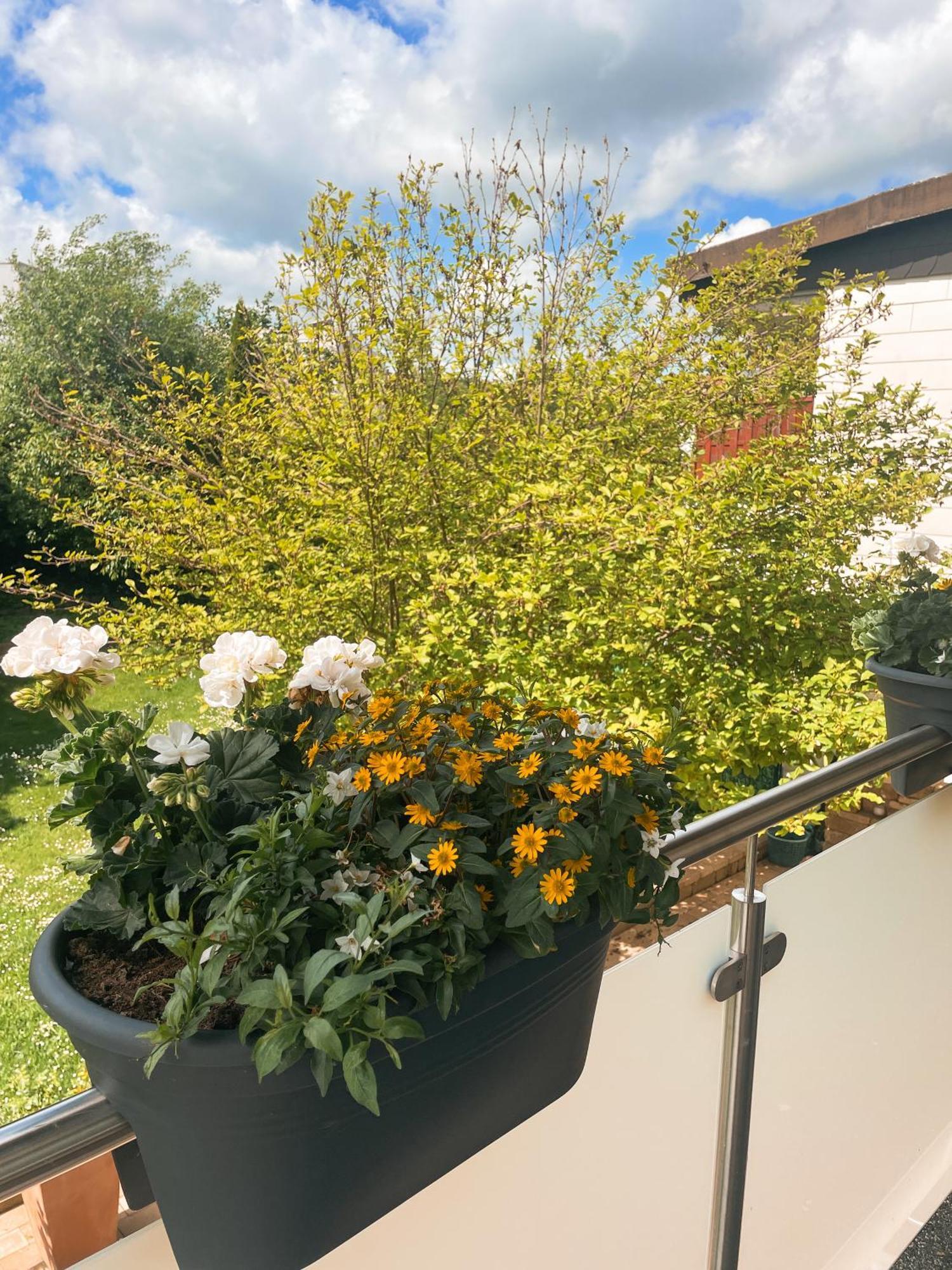 Appartment Paula Wolfhagen Exteriör bild